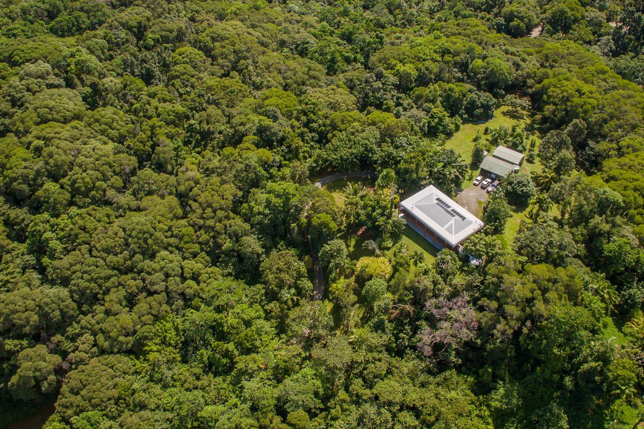 Daintree Manor B&B Εξωτερικό φωτογραφία