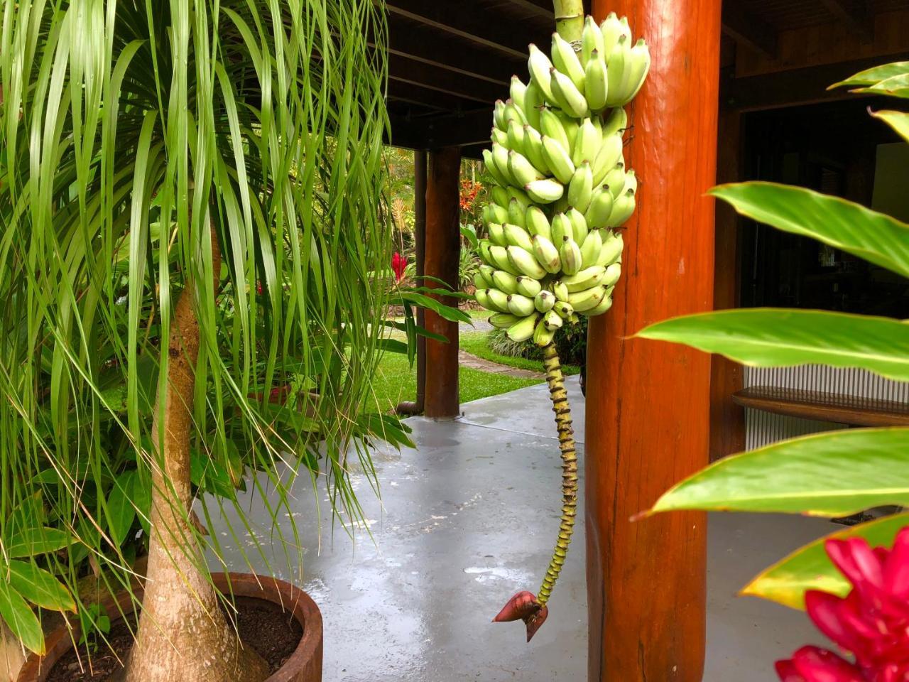 Daintree Manor B&B Εξωτερικό φωτογραφία