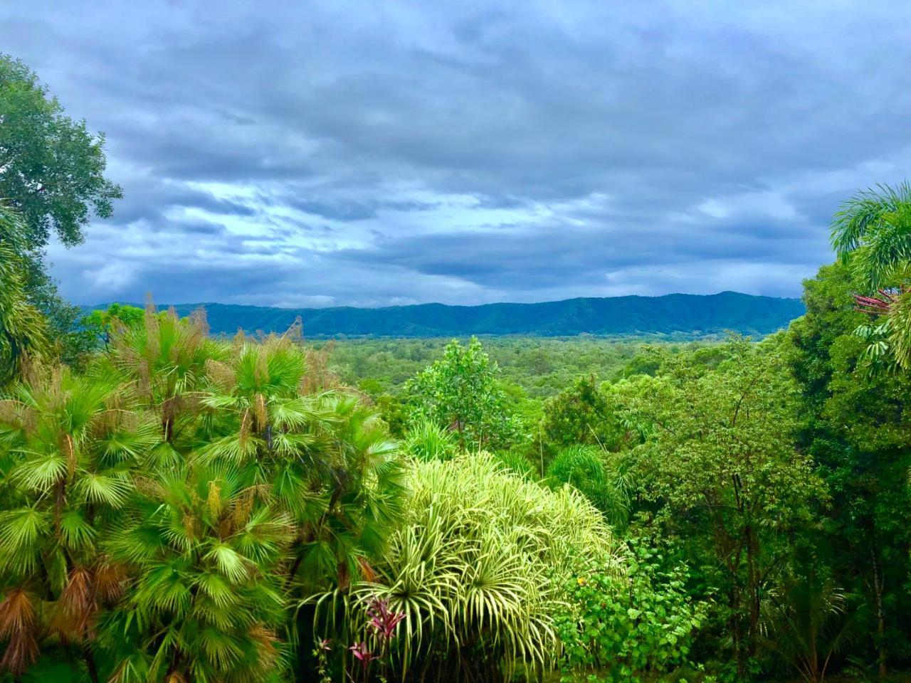 Daintree Manor B&B Εξωτερικό φωτογραφία
